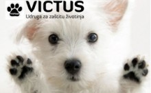Udruga za zaštitu životinja Victus HITNO treba pomoć!