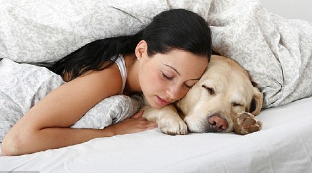 6 razloga zašto je dobro spavati s kućnim ljubimcem!