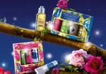 loccitane6