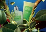 loccitane7