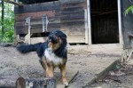 IMG_9248 - Copy