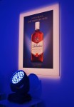 Ballantines viski_33