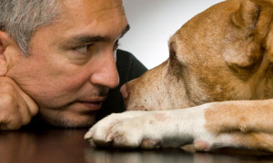 cesar-millan