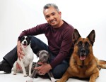 NORTH SHORE ANIMAL LEAGUE AMERICA CESAR MILLAN