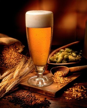 Beer and ingredients