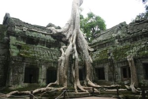 ta-prohm