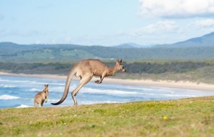 Australia-Australija