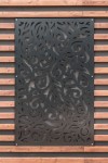FPF_3865