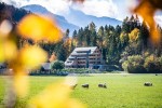07 Vila Planinka as the part of nature