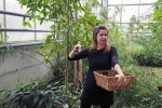 Botanicki vrt  (3)