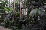 Botanicki vrt  (4)