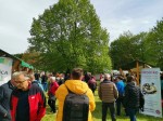 Zeleni festivalč