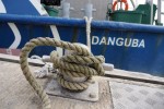 danguba- Vransko jezero  (1)