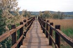 poucna staza Vransko jezero  (1)