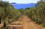staza_2_5 (1)