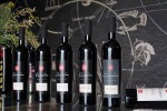 vinarija Karaba  (3)
