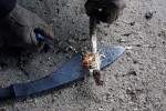 Laris survival school (20)