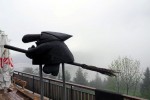Notranjski park (5)