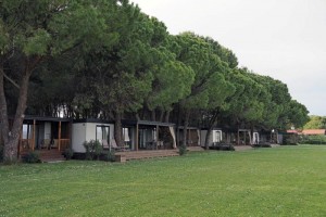 P4226885