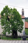 predjamski grad (16)