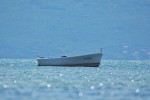 ploce_3