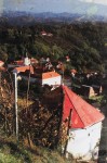 Vinarija Sever- povijest Sokola  (4)