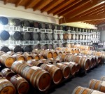 Agricola Acetomodena