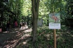 Das große Abenteuer am Demmerkogel (5)