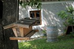 Weingut Kogl (12)
