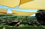 Weingut Kogl (8)