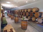 Weingut Schneeberger (4)