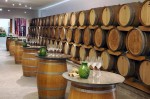 Weingut Schneeberger (6)