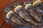 madronic gostilna in turizem (14)