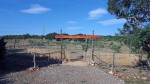 Olivaro farm, foto Nikola Zoko (1)