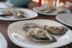 Ston, oyster farm Gusta Me, foto Nikola Zoko (15)