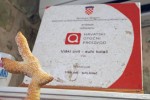 Vis, Viski cvit, foto Nikola Zoko (3)