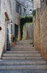 Vis, foto Nikola Zoko (1)