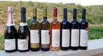 Vis, vinarija Vislander, foto Nikola Zoko (4)