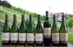 Weingut Adam-Lieleg (18)