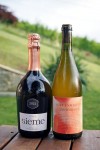 Weingut Adam-Lieleg (19)