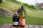 Weingut Adam-Lieleg (20)