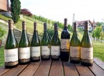 Weingut Adam-Lieleg (8)