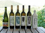 Weingut Kogl (16)
