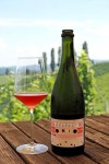 Weingut Kogl (9)