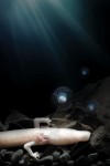 15 Proteus Anguinus known as Baby dragons are the biggest cave animal. Photo Iztok Medja for Postojna Cave