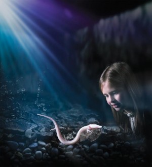 Foto Elisa_ribica in puncka 2019