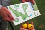 golf, foto Nikola Zoko (2)
