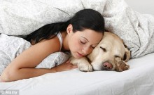 6 razloga zašto je dobro spavati s kućnim ljubimcem!